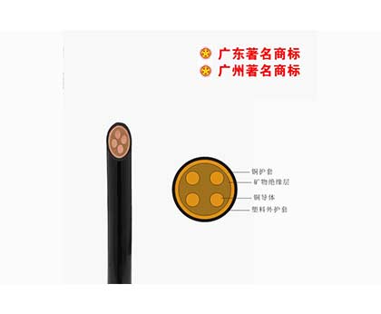 WD-BTTYZ-750V礦物質電纜